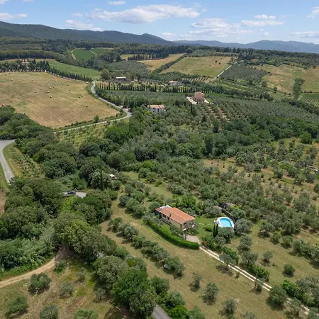 I Cipressi *
