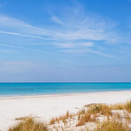 I Cipressi Holiday home Bibbona