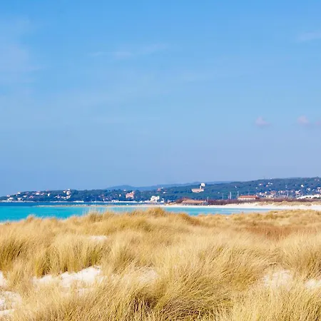 I Cipressi 비보나